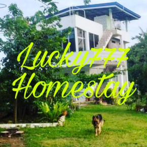 Lucky777 Homestay